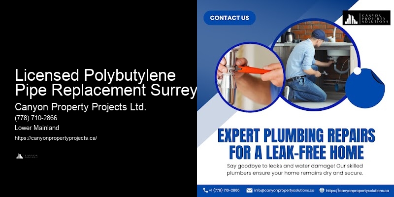Polybutylene Plumbing Pipe Replacement Licensed Polybutylene Pipe Replacement Surrey
