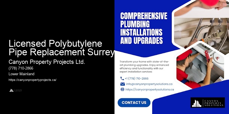 Pipe Leak Detection and Replacement for Polybutylene Licensed Polybutylene Pipe Replacement Surrey