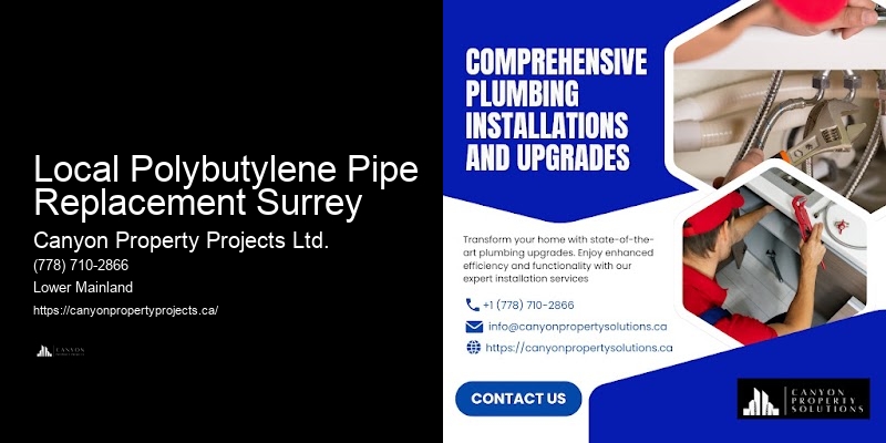 Licensed Polybutylene Pipe Installers Local Polybutylene Pipe Replacement Surrey