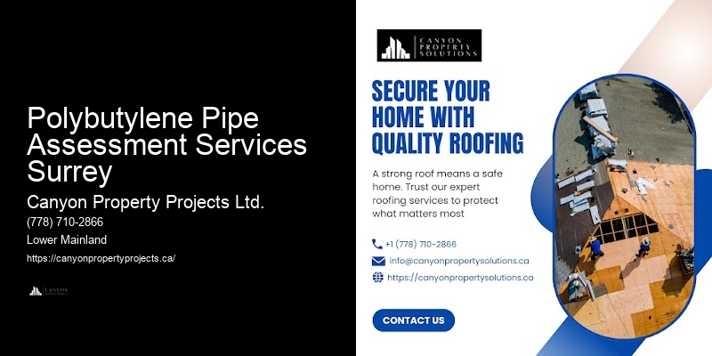 Advanced Polybutylene Pipe Replacement Polybutylene Pipe Assessment Services Surrey