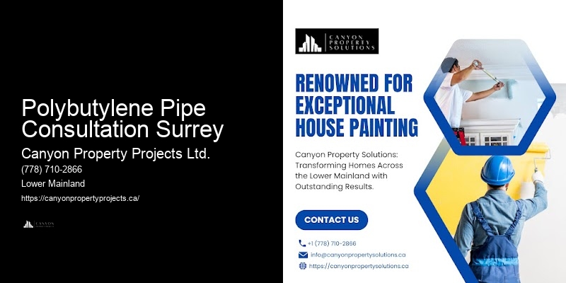 Polybutylene Plumbing Issues Polybutylene Pipe Consultation Surrey