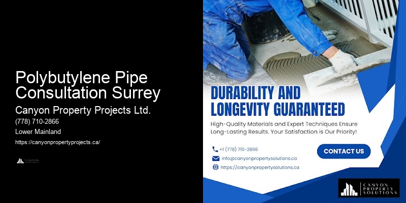 Fast Polybutylene Plumbing Services Polybutylene Pipe Consultation Surrey