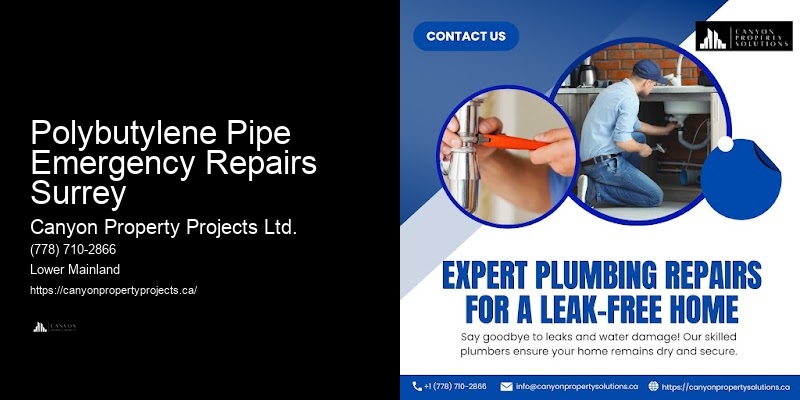 Polybutylene Pipe Emergency Repairs Surrey Polybutylene Plumbing Replacements