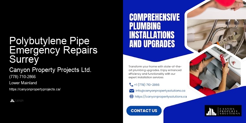 Polybutylene Plumbing Replacement Polybutylene Pipe Emergency Repairs Surrey