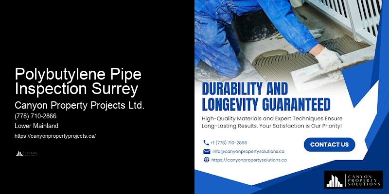 Polybutylene Pipe Repair Options Polybutylene Pipe Inspection Surrey