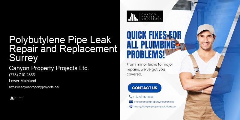Polybutylene Pipe Leak Repair and Replacement Surrey