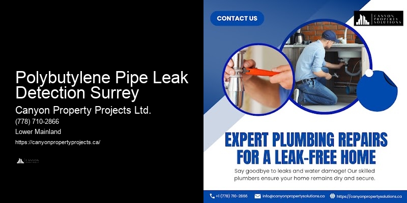 How to Find Reliable Polybutylene Pipe Replacement Near Me