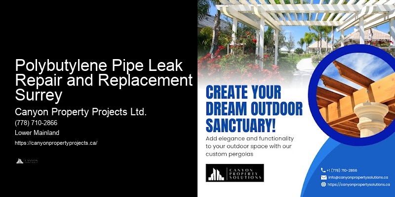 Professional Polybutylene Plumbing Replacement Near Me