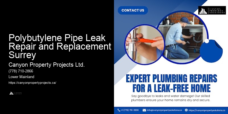 Polybutylene Pipe Replacement Solutions for Homes Polybutylene Pipe Leak Repair and Replacement Surrey