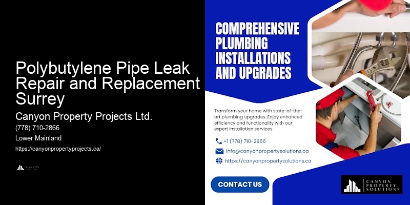 High-Quality Polybutylene Pipe Replacement Polybutylene Pipe Leak Repair and Replacement Surrey