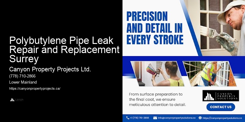 Quality Polybutylene Plumbing Replacement at Competitive Prices