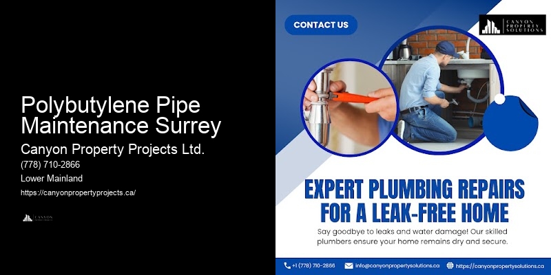 Polybutylene Pipe Replacement Solutions Polybutylene Pipe Maintenance Surrey