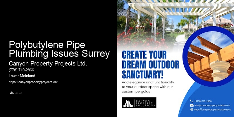 Polybutylene Pipe Plumbing Issues Surrey Polybutylene Plumbing Reviews