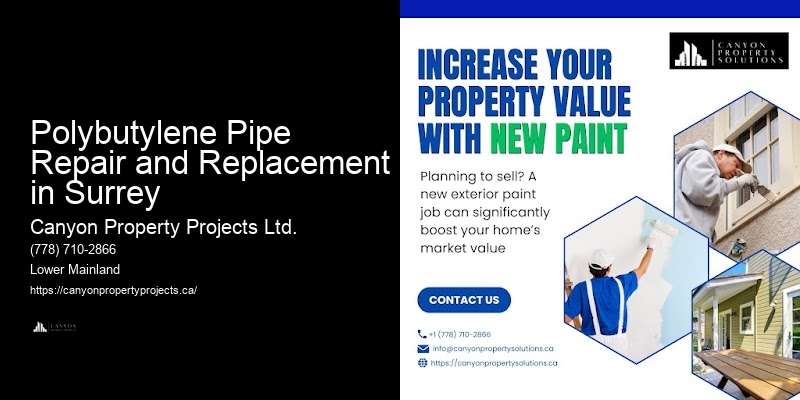 Polybutylene Pipe Service Experts Polybutylene Pipe Repair and Replacement in Surrey