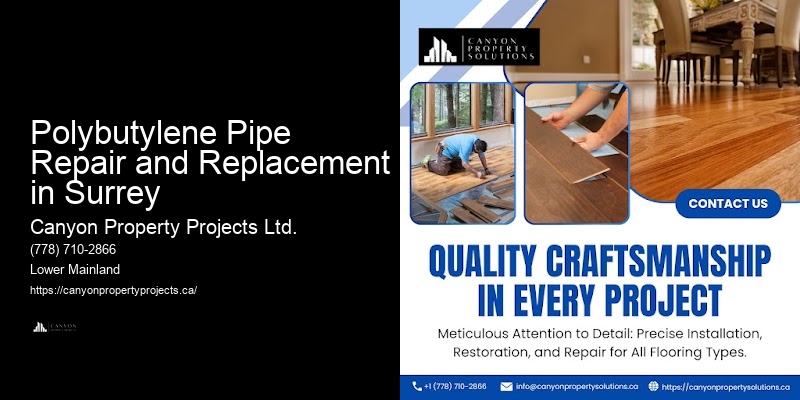Polybutylene Plumbing Leak Detection Polybutylene Pipe Repair and Replacement in Surrey
