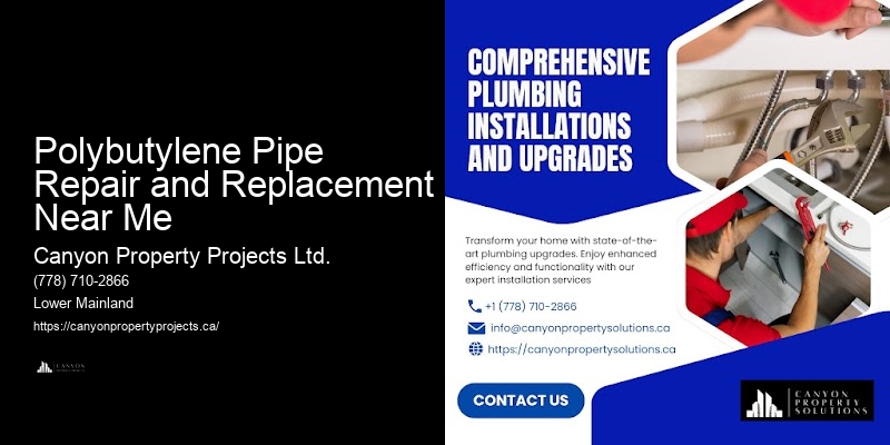 Polybutylene Pipe Repair and Replacement Near Me Licensed Polybutylene Plumbers