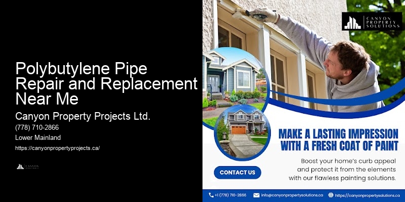 Polybutylene Plumbing Emergency Response Polybutylene Pipe Repair and Replacement Near Me