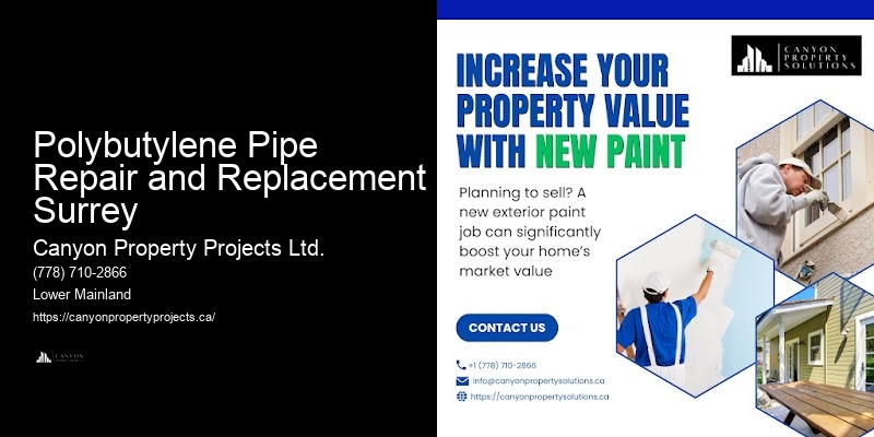 Quick Polybutylene Replacement Services Polybutylene Pipe Repair and Replacement Surrey