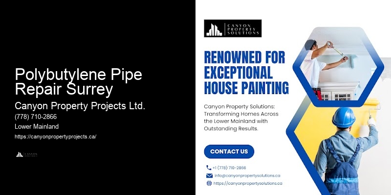 Expert Advice on Polybutylene Plumbing Polybutylene Pipe Repair Surrey