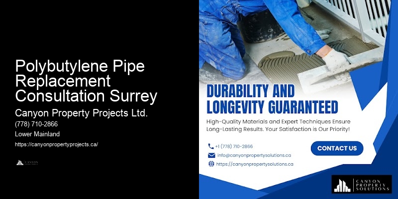 Polybutylene Pipe Repair Polybutylene Pipe Replacement Consultation Surrey