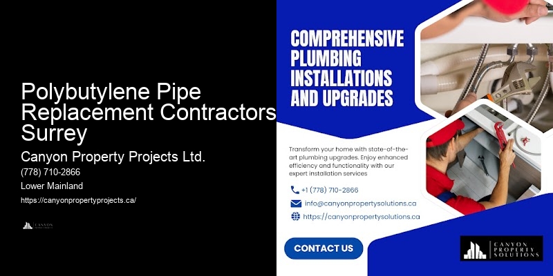 Polybutylene Pipe Replacement Contractors Surrey Polybutylene Plumbing Experts