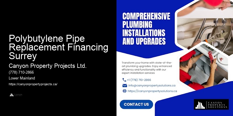Affordable Polybutylene Pipe Services Polybutylene Pipe Replacement Financing Surrey