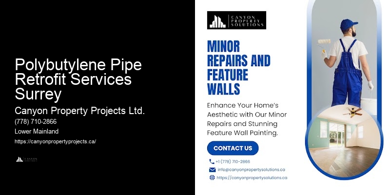 Polybutylene Pipe Retrofit Services Surrey Polybutylene Pipe Leak Repair
