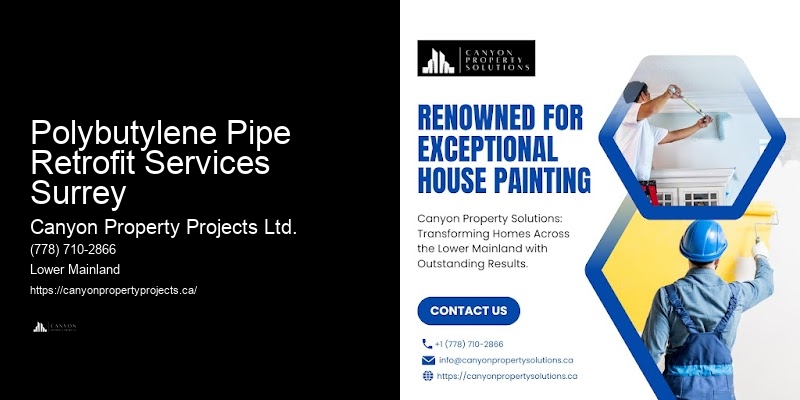 Detailed Polybutylene Replacement Service Polybutylene Pipe Retrofit Services Surrey