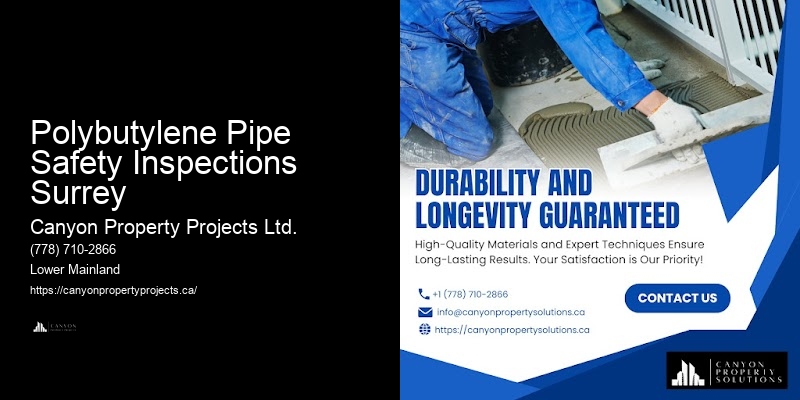 Polybutylene Pipe Safety Inspections Surrey Plumbing Repair Specialists