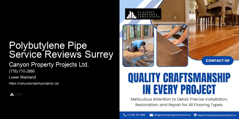 Polybutylene Plumbing Removal Services Polybutylene Pipe Service Reviews Surrey
