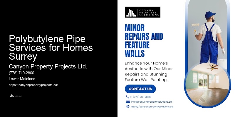 Polybutylene Pipe Compliance Inspection Polybutylene Pipe Services for Homes Surrey