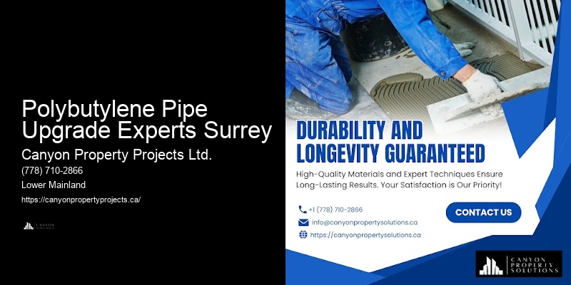 Polybutylene Pipe Upgrade Experts Surrey Polybutylene Replacement for Water Efficiency