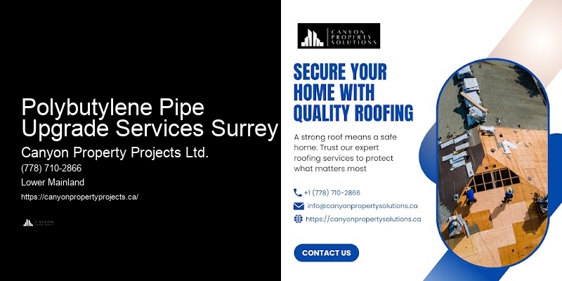 Polybutylene Plumbing Service Packages Polybutylene Pipe Upgrade Services Surrey