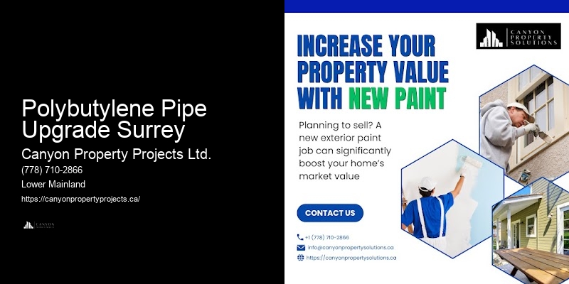 Polybutylene Plumbing Assessment Polybutylene Pipe Upgrade Surrey