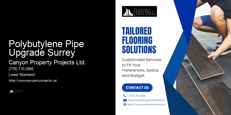 Polybutylene Pipe Renovation Polybutylene Pipe Upgrade Surrey