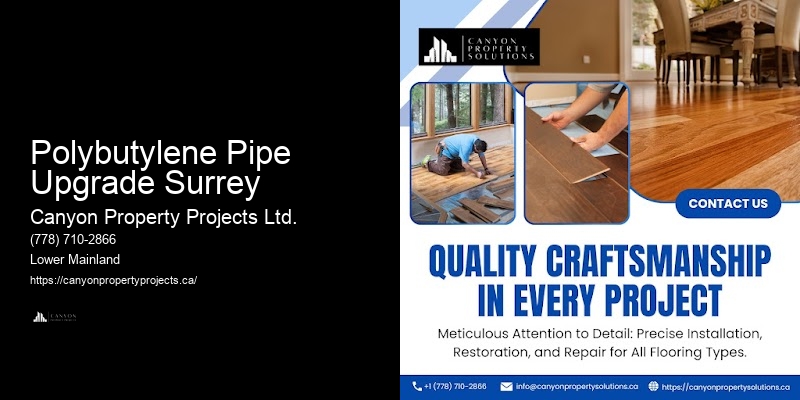 Polybutylene Pipe Plumbing Issues Polybutylene Pipe Upgrade Surrey