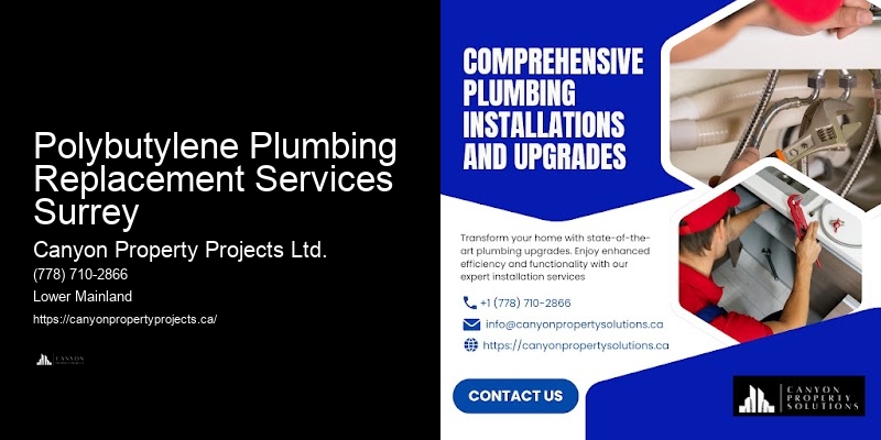 Polybutylene Pipe Replacement Options Polybutylene Plumbing Replacement Services Surrey