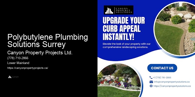 Cost-Effective Polybutylene Pipe Solutions Polybutylene Plumbing Solutions Surrey
