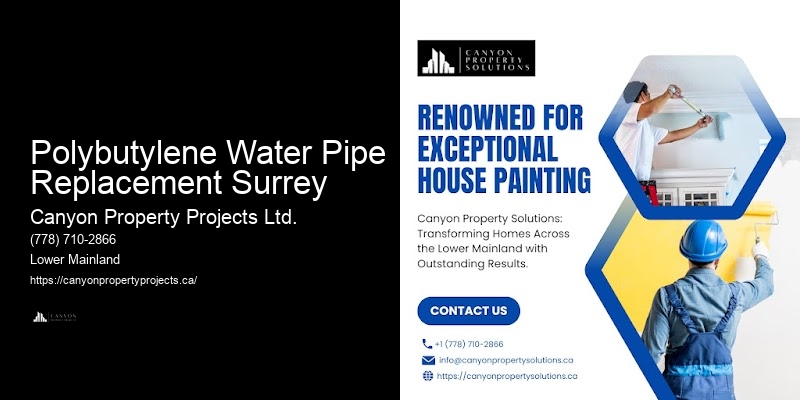 Polybutylene Water Pipe Replacement Surrey’s Top Polybutylene Pipe Companies