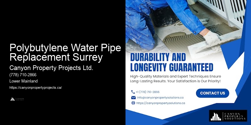 Polybutylene Water Pipe Replacement Surrey Polybutylene Pipe Replacement Companies