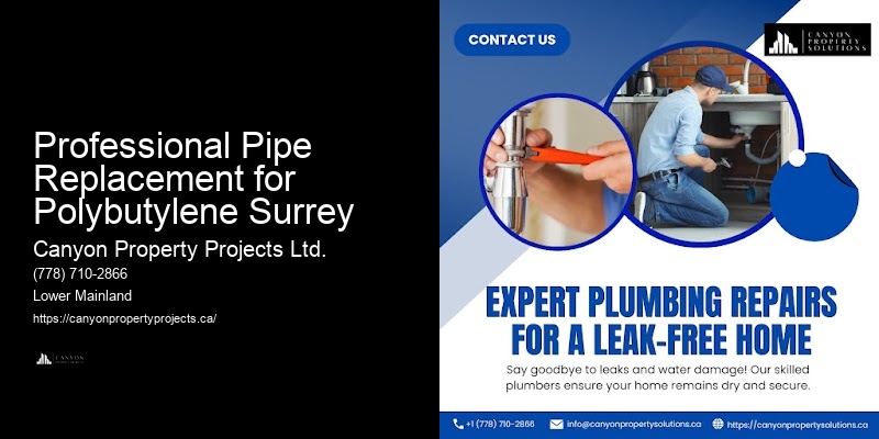 Polybutylene Pipe Replacement Near Me Professional Pipe Replacement for Polybutylene Surrey