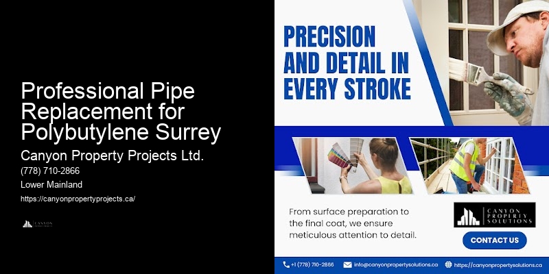 Polybutylene Pipe Replacement Plumbing Inspection Professional Pipe Replacement for Polybutylene Surrey