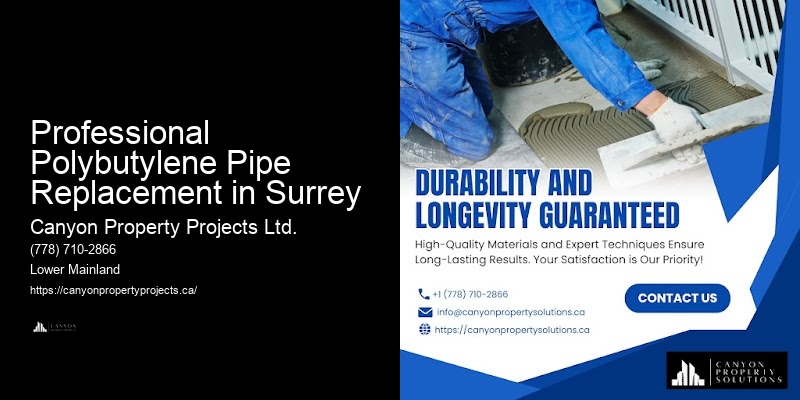 Professional Polybutylene Pipe Replacement in Surrey Polybutylene Pipe Issue Resolution
