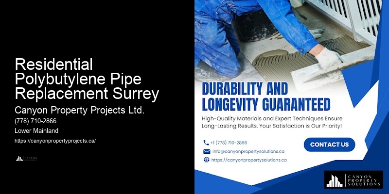 Residential Polybutylene Pipe Replacement Surrey Plumbing Repair Specialists