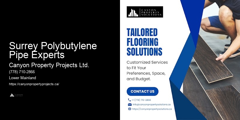 Polybutylene Plumbing Repair Surrey Polybutylene Pipe Experts