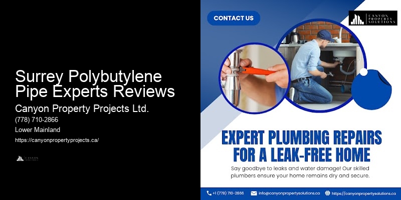 Efficient Polybutylene Pipe Replacement Solutions Surrey Polybutylene Pipe Experts Reviews