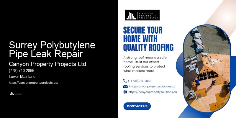 Best Practices for Polybutylene Pipe Replacement Surrey Polybutylene Pipe Leak Repair
