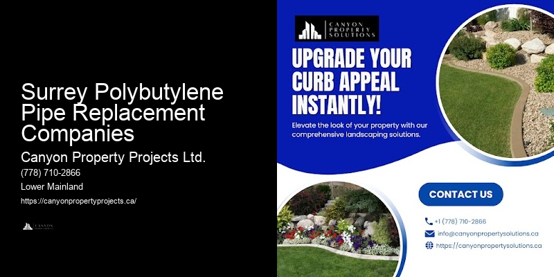 Polybutylene Plumbing Replacement Services Surrey Polybutylene Pipe Replacement Companies