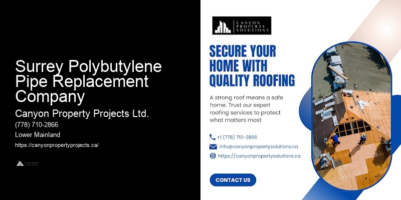 Polybutylene Plumbing Contractors Surrey Polybutylene Pipe Replacement Company