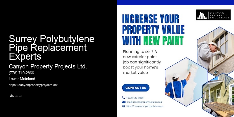 Polybutylene Pipe Replacement Recommendations Surrey Polybutylene Pipe Replacement Experts